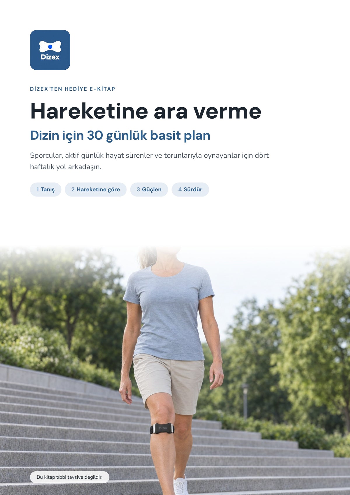 Dizex 30 Günlük Hareket Planı